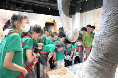 揭秘自然來信，共建綠色家園 | 青少年科學講壇引領自然探索新風尚